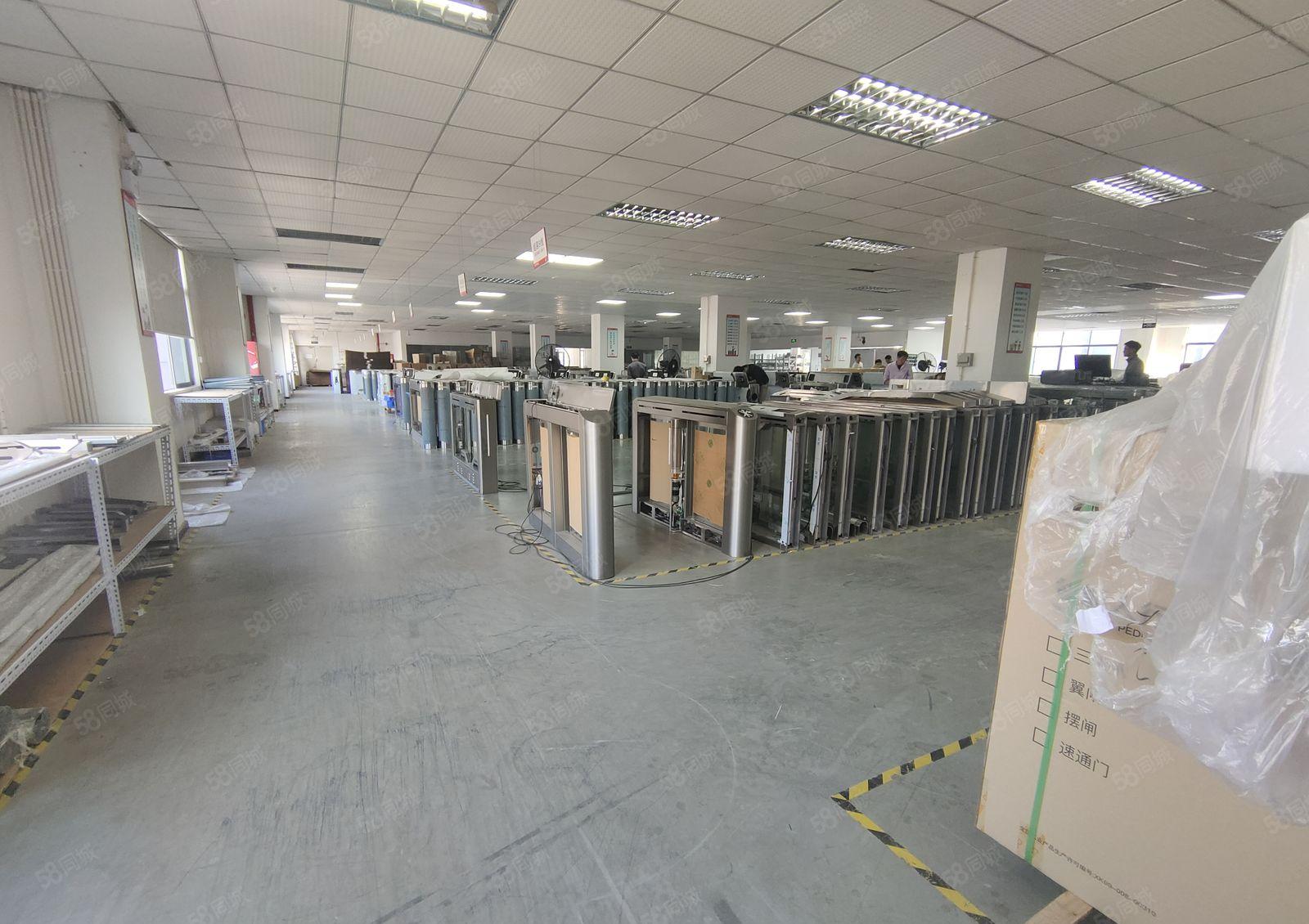 塘厦中心区原房东红本厂房独门独院独栋8000平厂房出可办环评