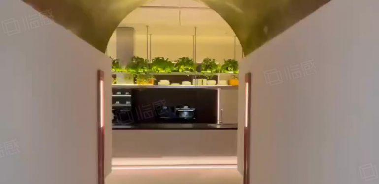 华侨城创意园一拖二商铺出租，适合设计办公，展厅会所