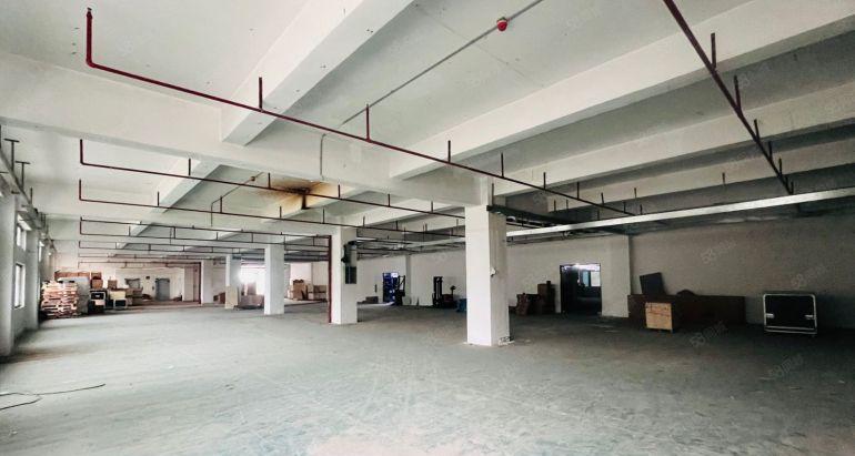 200平起 南山西丽留仙洞厂房整层3500平 可以分租