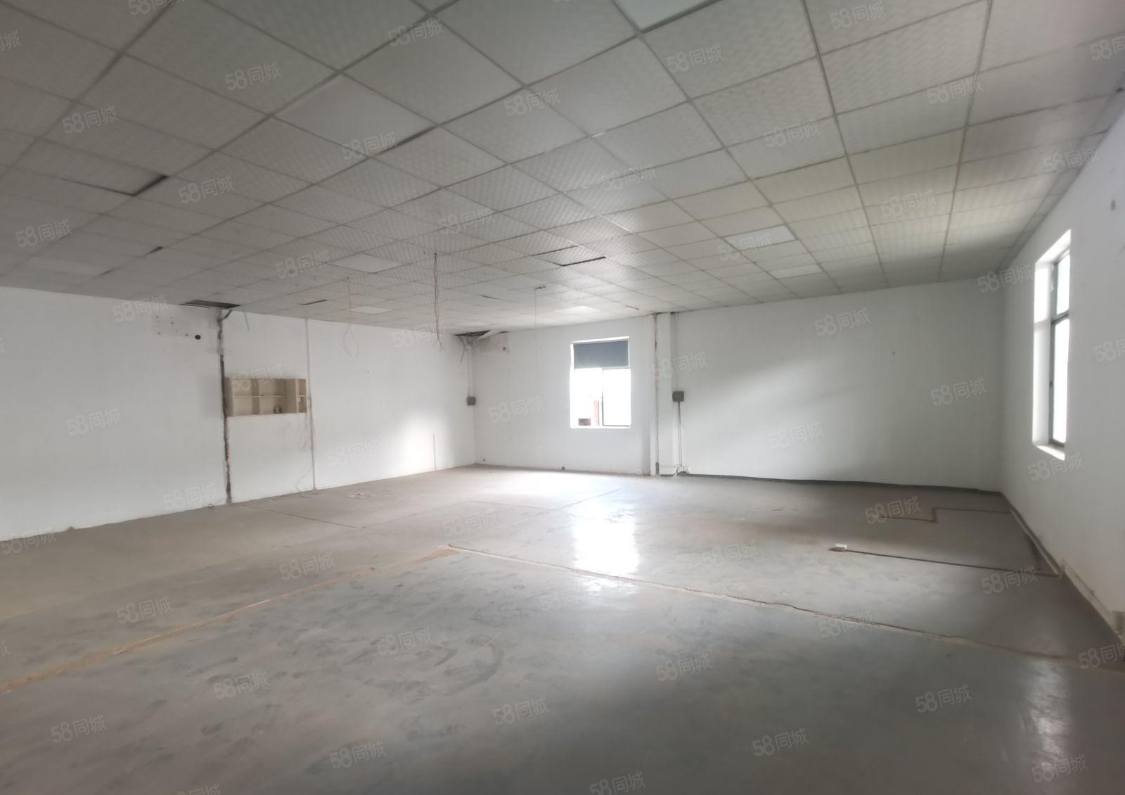 西丽动物园附近自有仓库2200平，房东直租