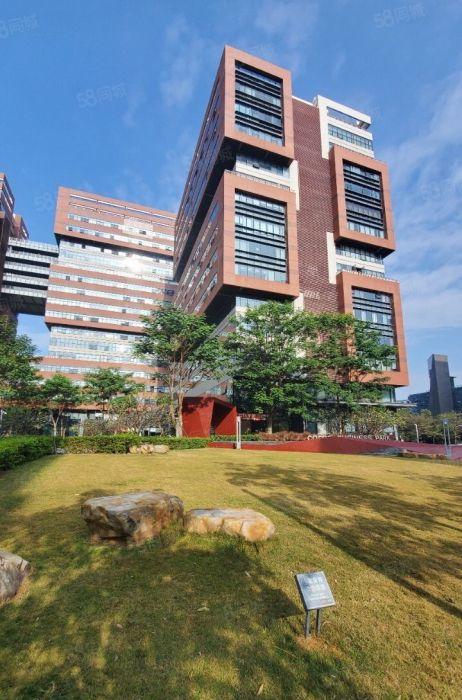 兴东中粮办公研发楼1200平精装修，带空中花园