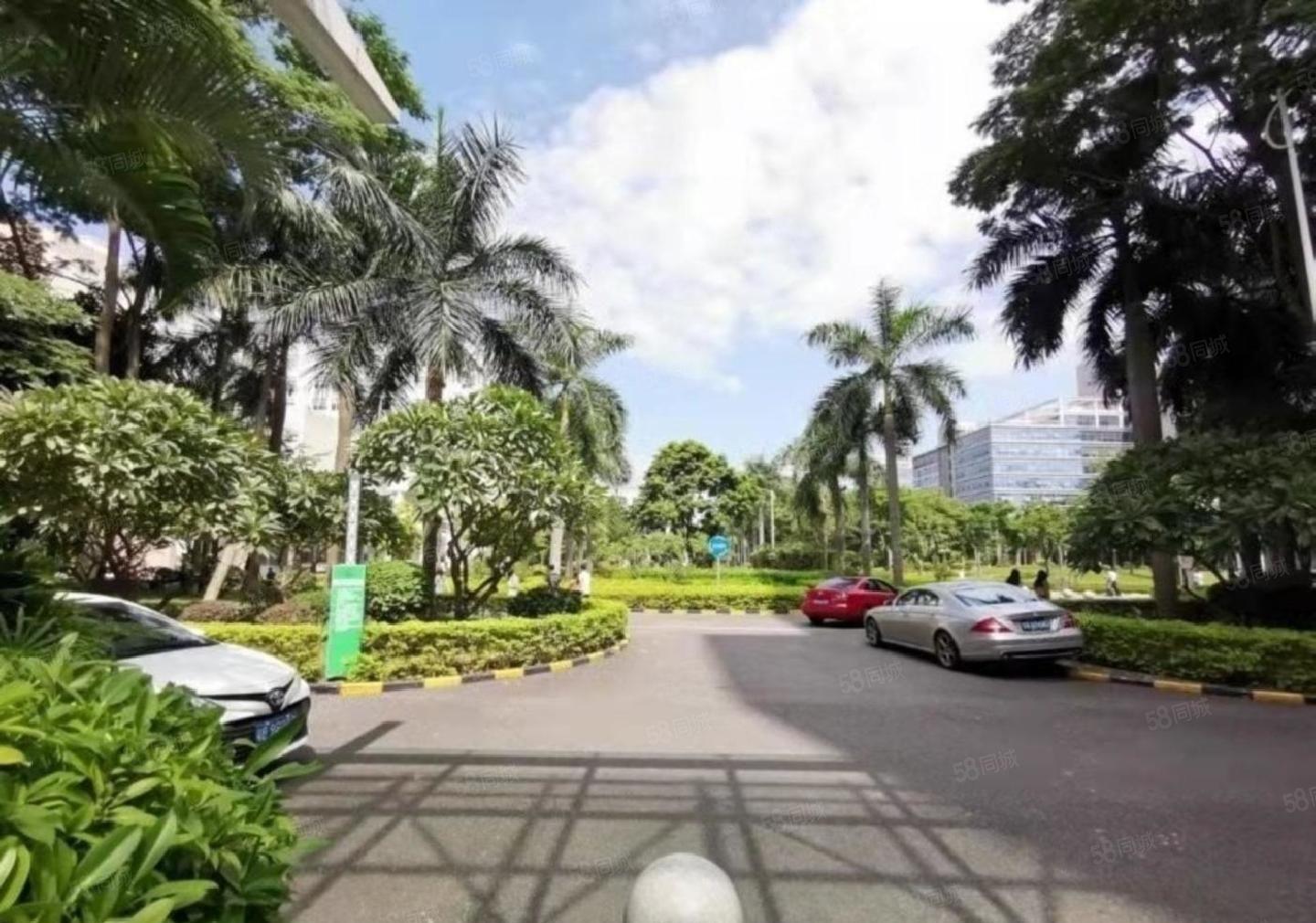 科技园北区 345平特价65元 带家私 可备案 园林式办公