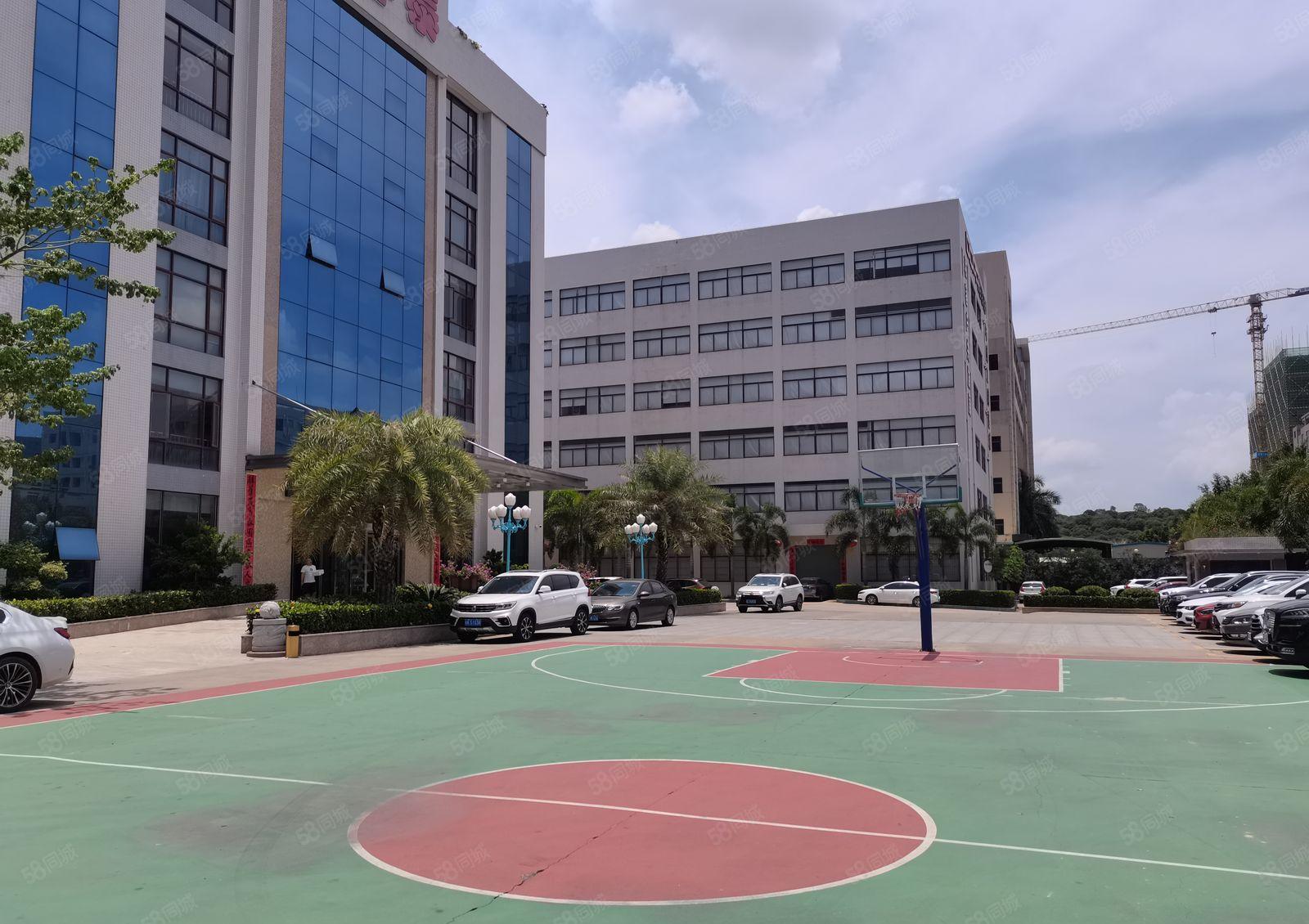 光明12000高新补贴厂 房出租，免租半年1000平起