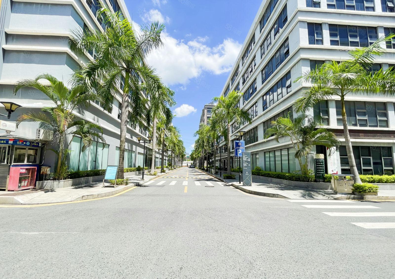 南山区 整栋 5000平方 企业总部 带豪华装修 组装研发