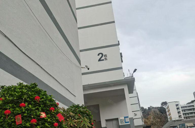 南山西丽伟豪科技园业主直租厂房1楼375平，户型方正，采光好