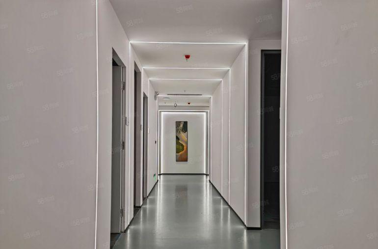 大学城1280平全新装修直播间，直播电商，可分租