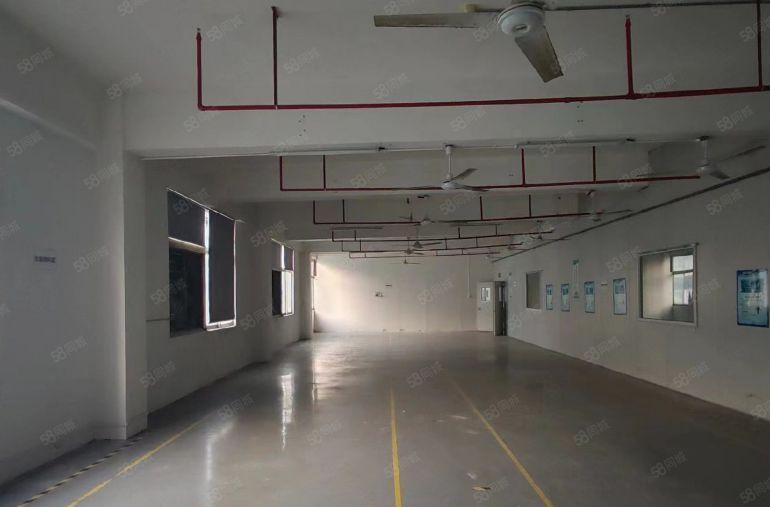 南山大学城旁原房东1500平方厂房仓库低价出租200起租精装