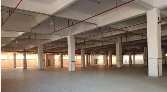 黄江原房东独院厂房5500平方招租花园式无公摊合同期长易招工