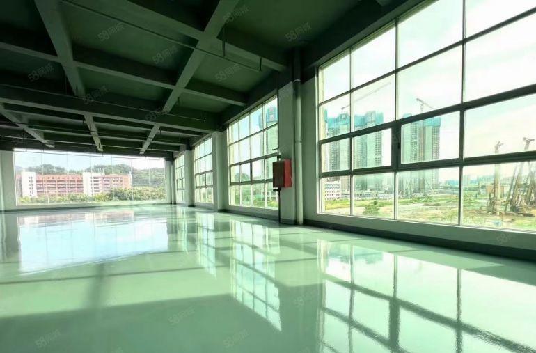 南山房东直招厂房1000平方实际面积出租，合同厂，实际面积