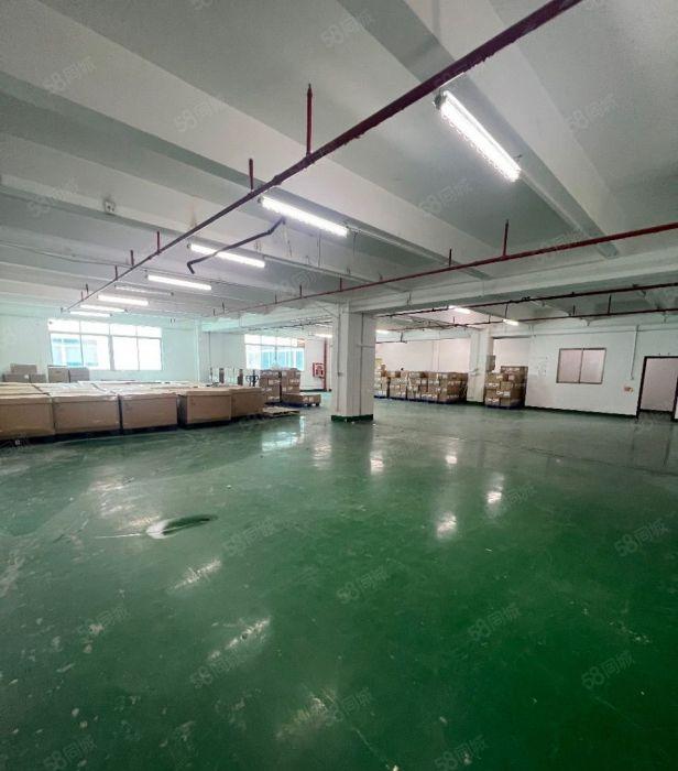 租金32元大小面积500平至4千平 南山西丽白芒 百旺阳光