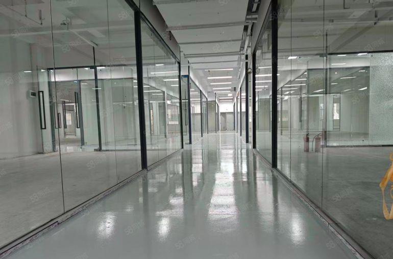 南油服装批发市场厂房出租，适合打版，直播间，电商物流仓库等