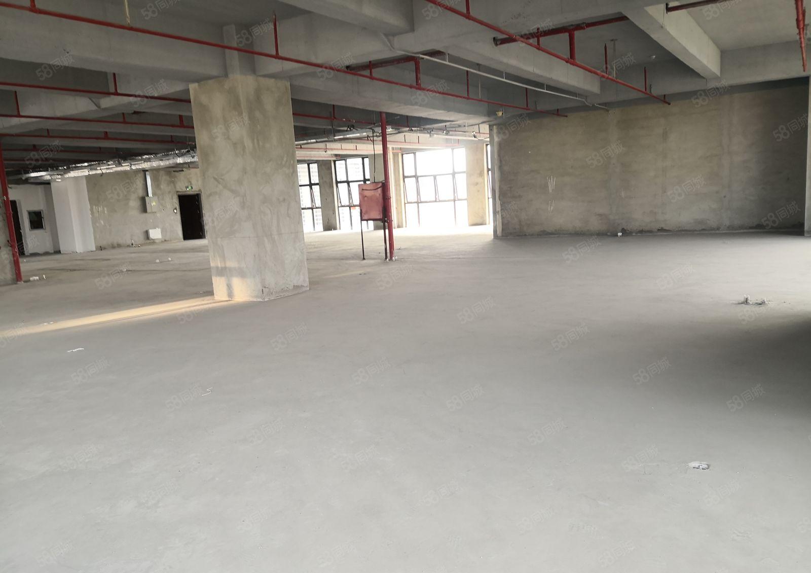 福田中心区高端办公研发基地1000平厂房出租报价300元可分