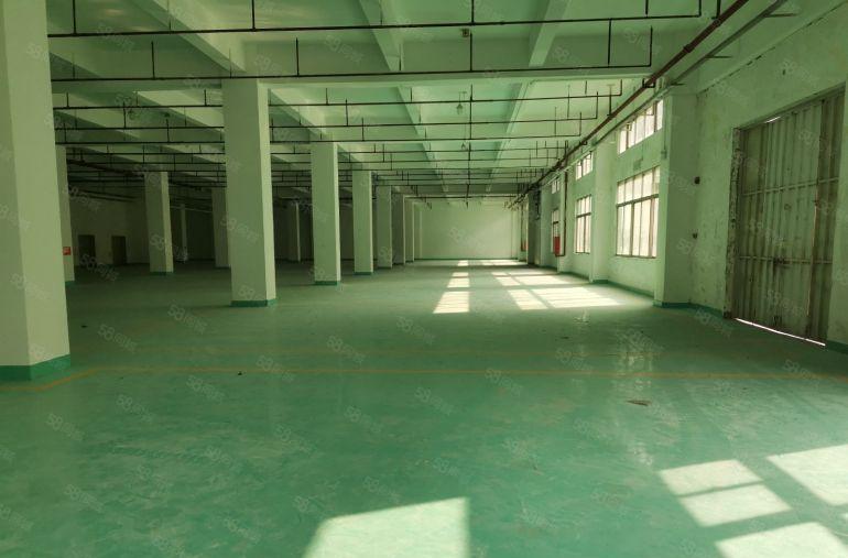 龙岗同乐工业园区红本独门独院厂房9000平方带装修大小可分租