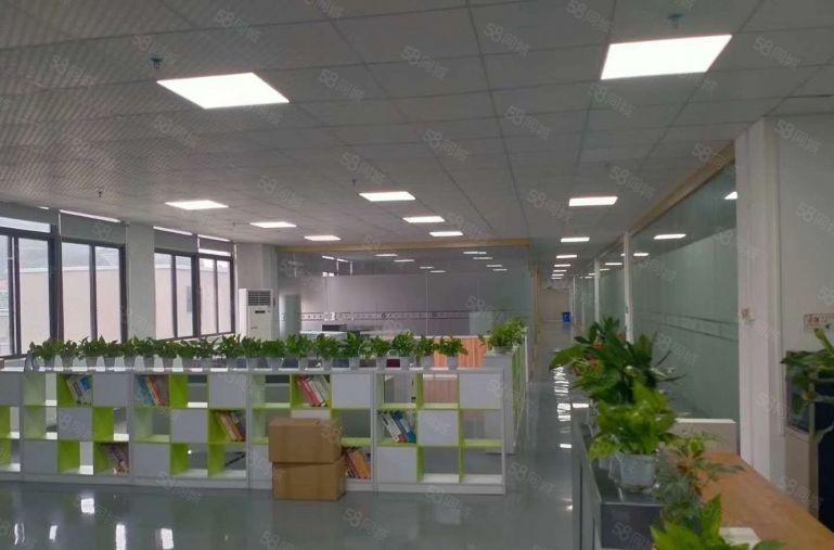 龙岗宝龙工业区新出楼上1650平方带现成办公室装修
