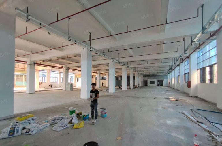 坪山工业园新出200至5000平一二楼红本厂房仓库出租大小分