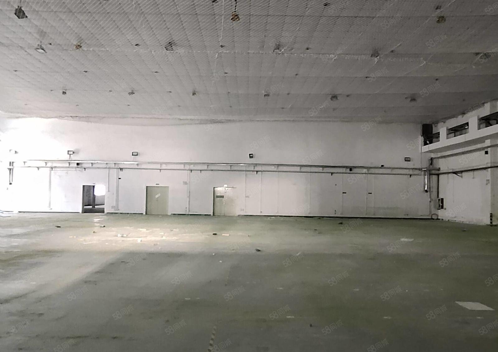 南山层高12米钢构厂房适合泛娱乐汽车交付中心卡丁车射箭攀岩