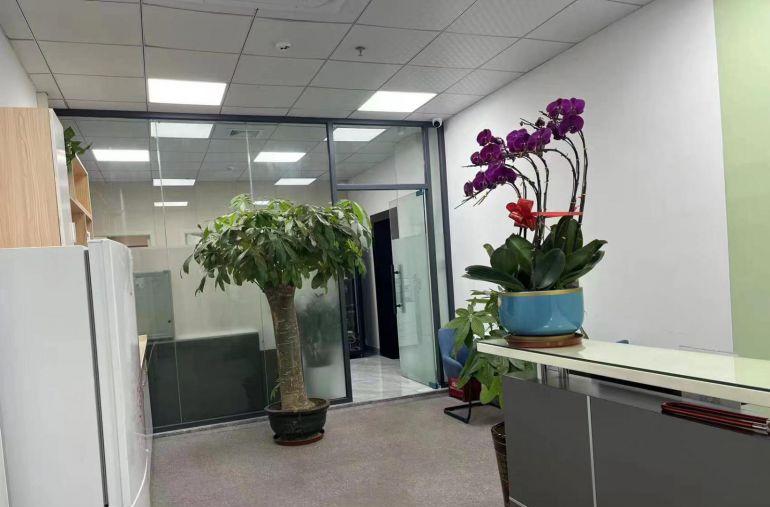 出租！位置新桥万丰98工业城1650平价格便宜厂房办公室