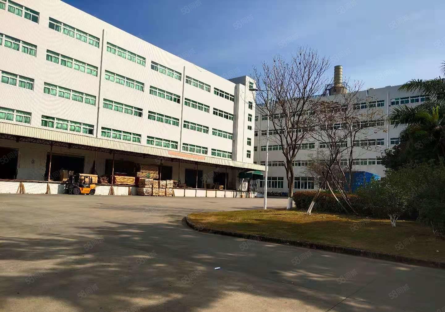 塘厦外环高速出口原房东红本2楼3000平方厂房出租大小可分