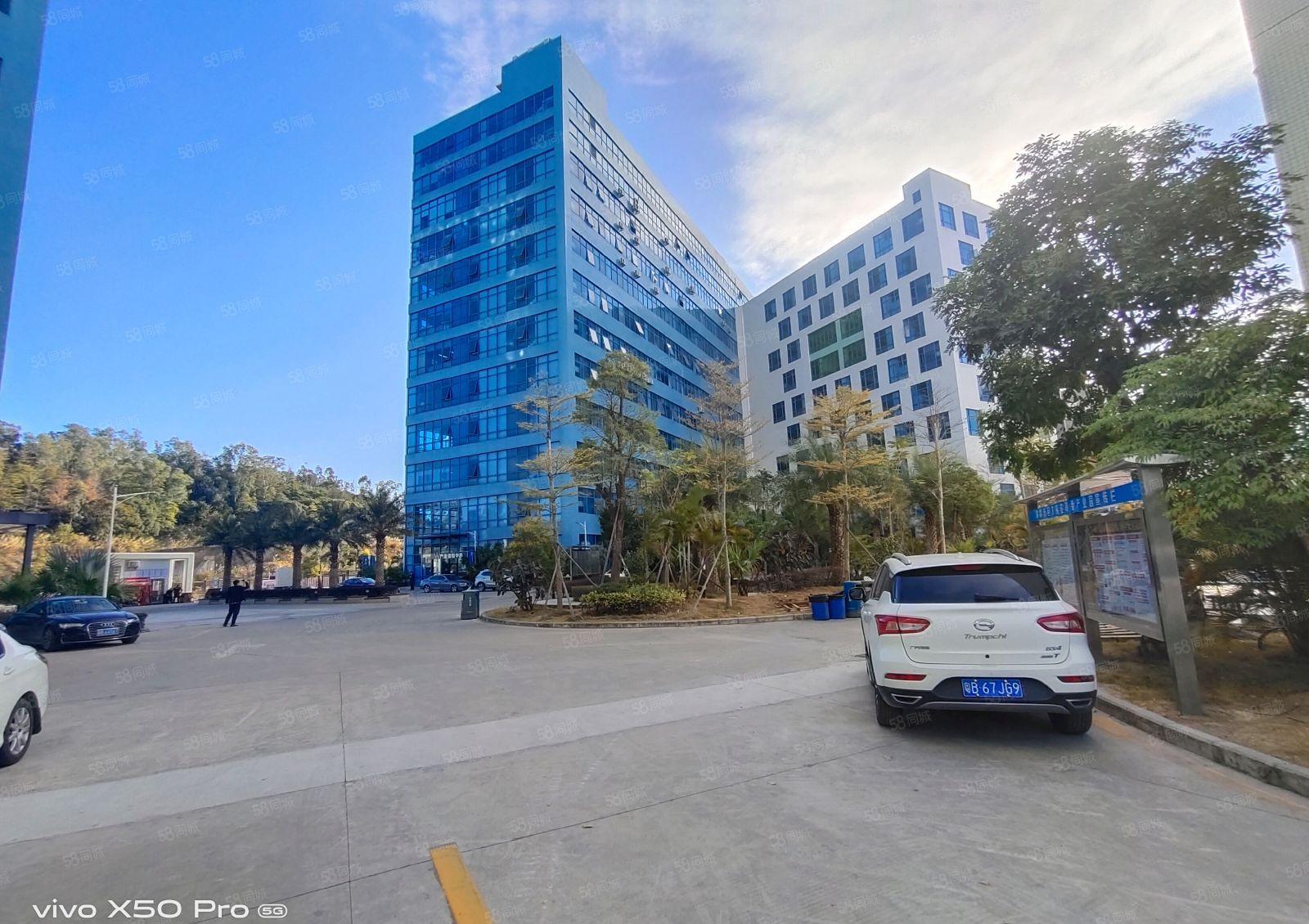 南山区蛇口一手业主直租实际面积1000平报价100元合同5年