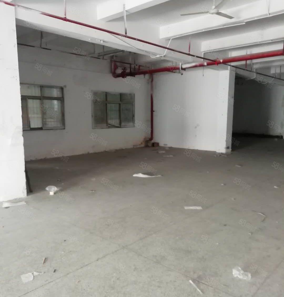 罗湖清水河小关附近小面积厂房126，260至750平米办公仓