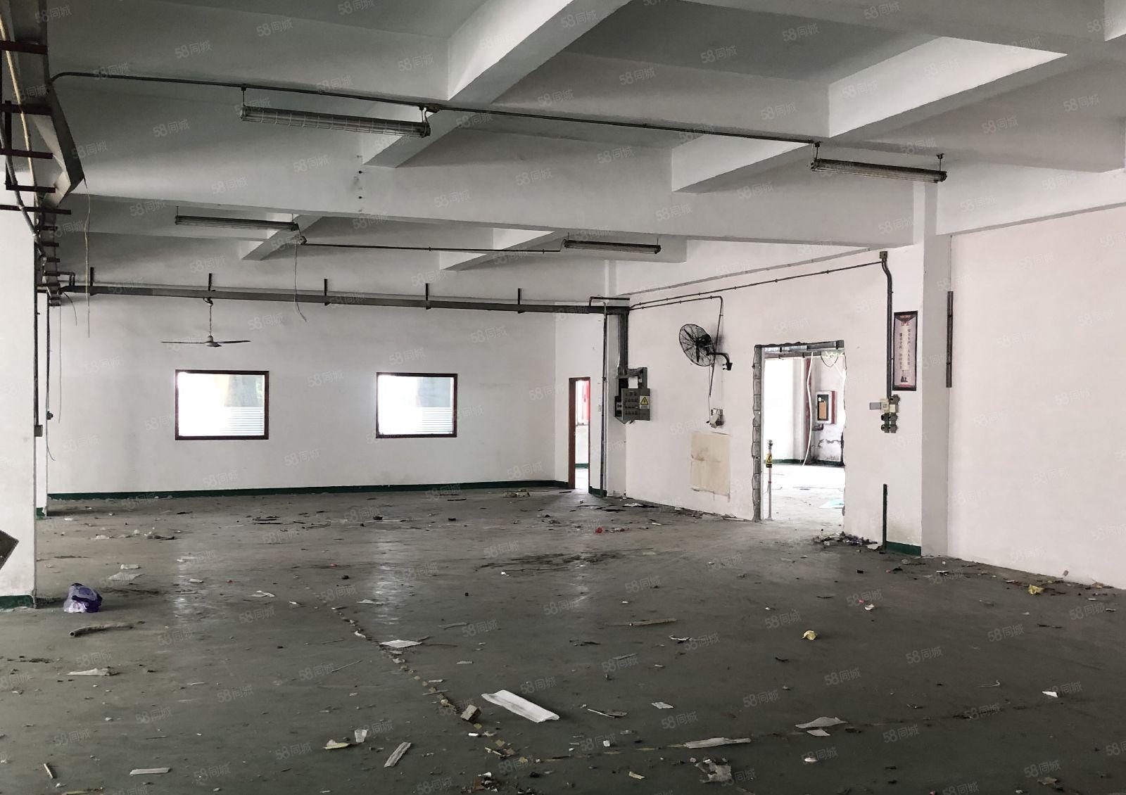 福海国际会展中心6816平方米全新村委厂房业主直租带超大空地