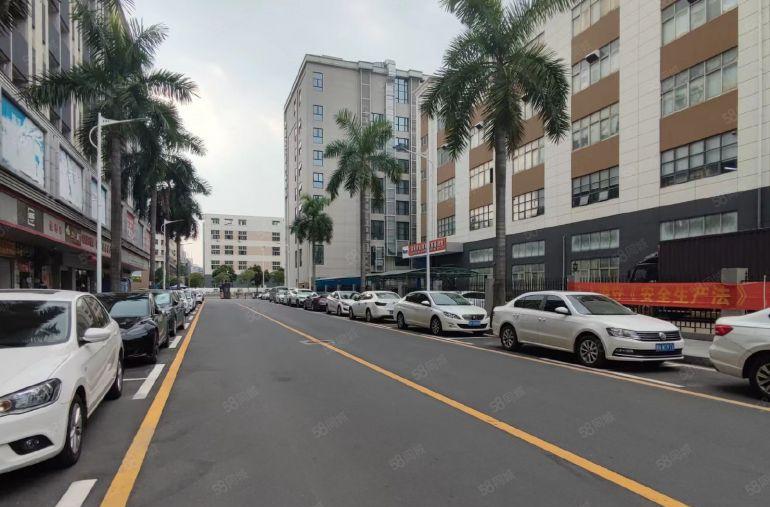 南山大学城旁原房东1500平方厂房仓库低价出租200起租精装