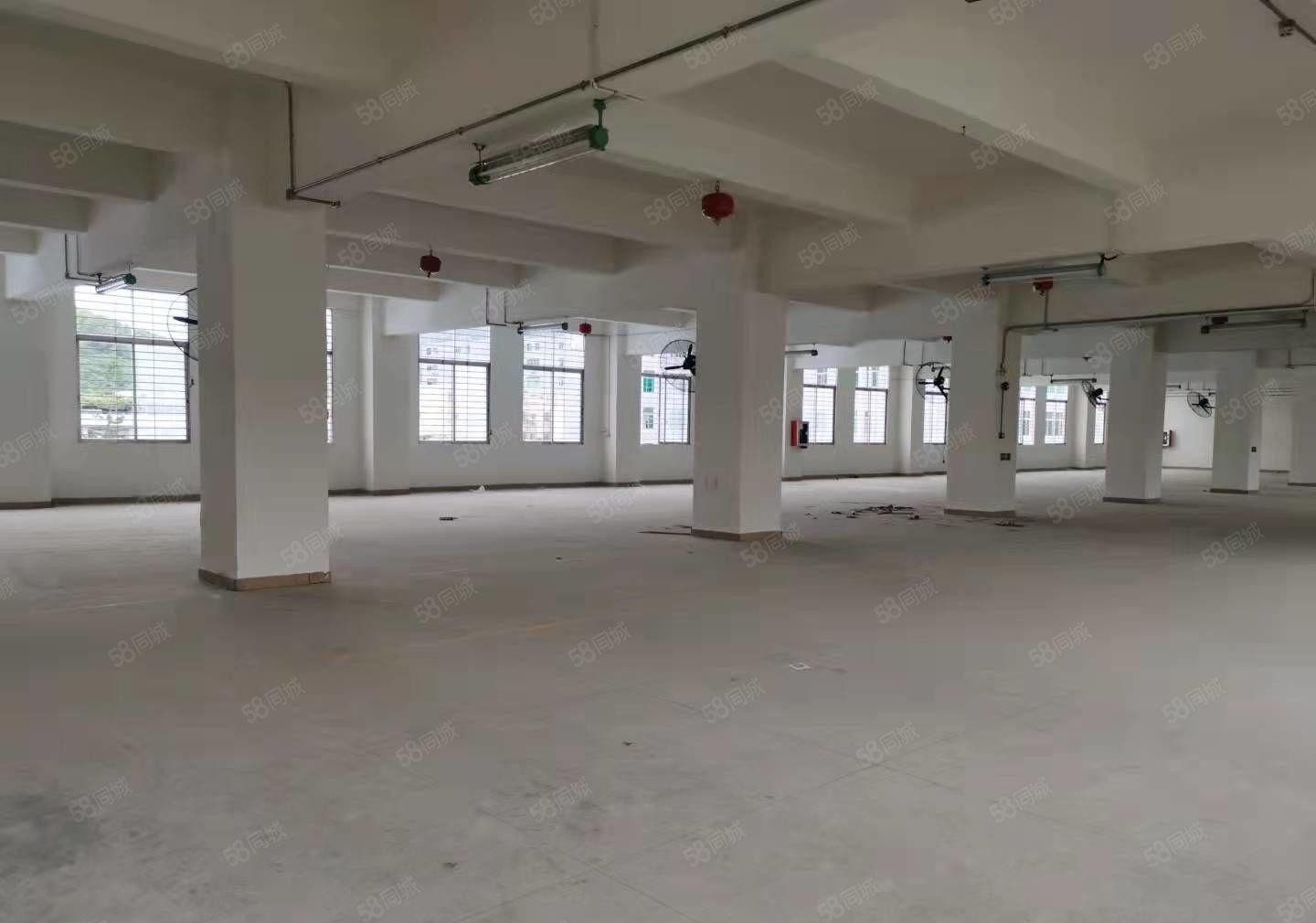 原房东独门独院每层1716平可分租，加工仓储办公等价格好谈