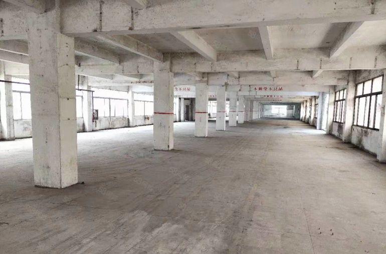 盐田区盐田东海道附近标准一楼500厂房平，楼上小分租170