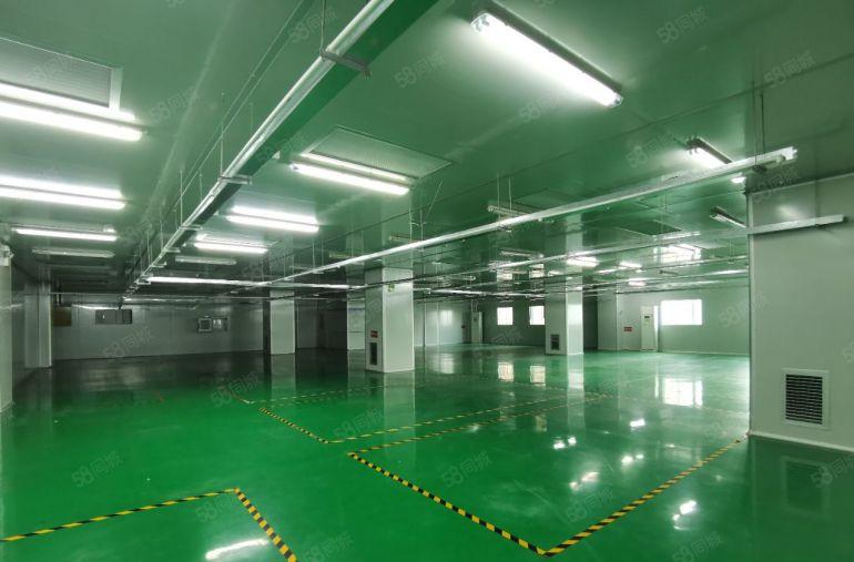 石岩北环原房东一楼厂房招租1500平层高6米，面积实在