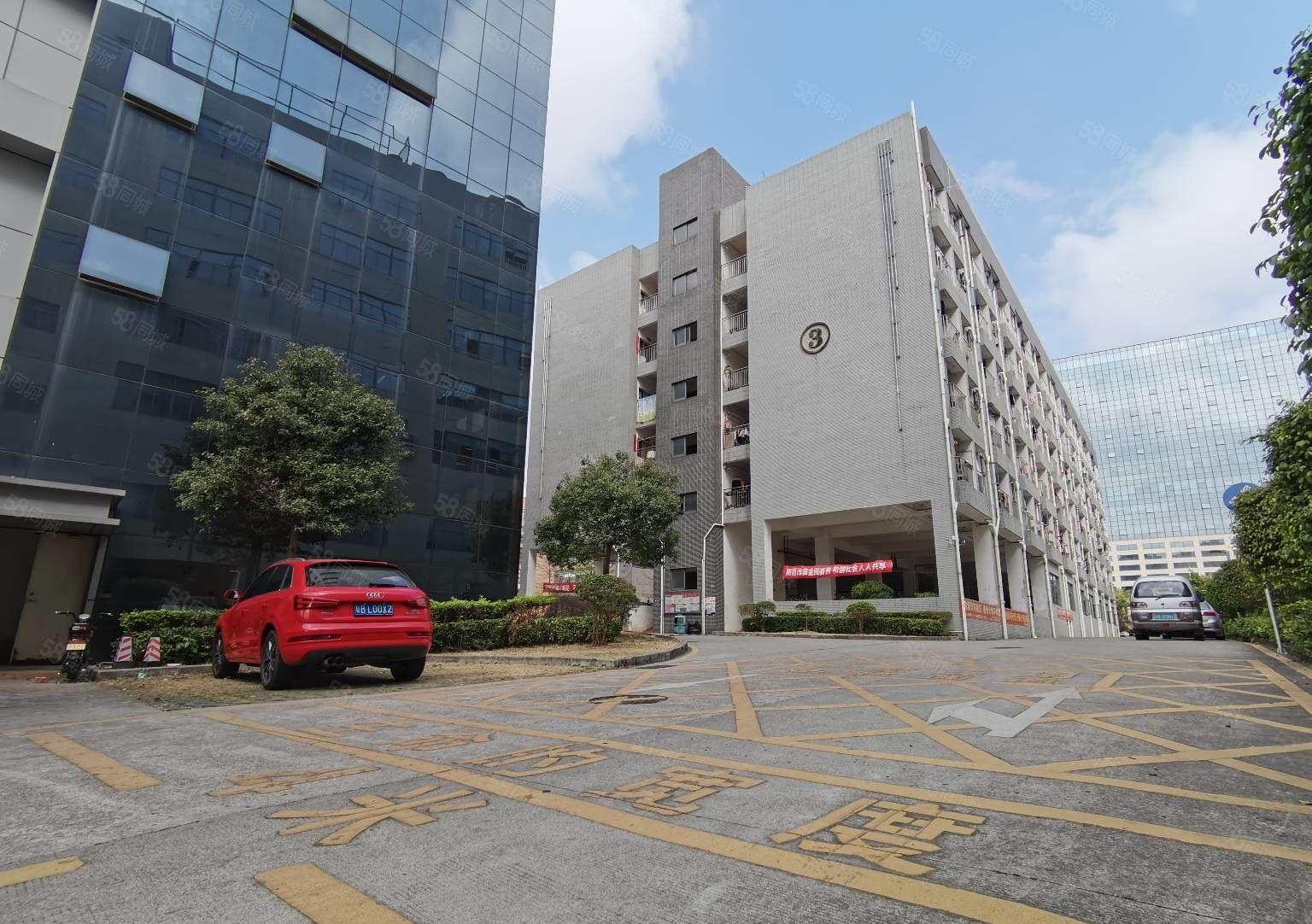 光明享受政府补贴厂房出租红本一楼仓库出租可分租原房东独门独院