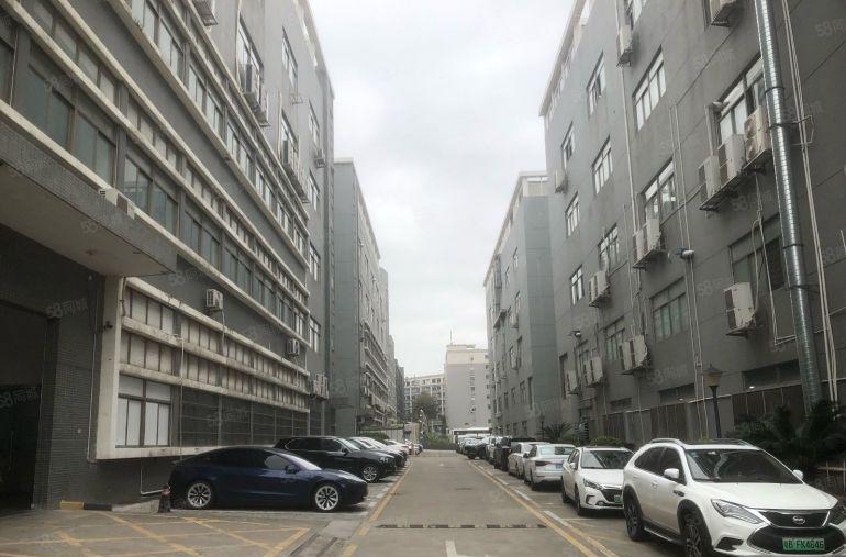 直租南山科技园红本厂房1000平，可分租申请创业补贴免中