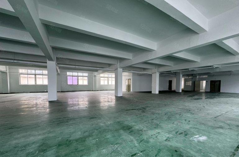 罗湖清水河 厂房仓库出租 原房东 200平至500平