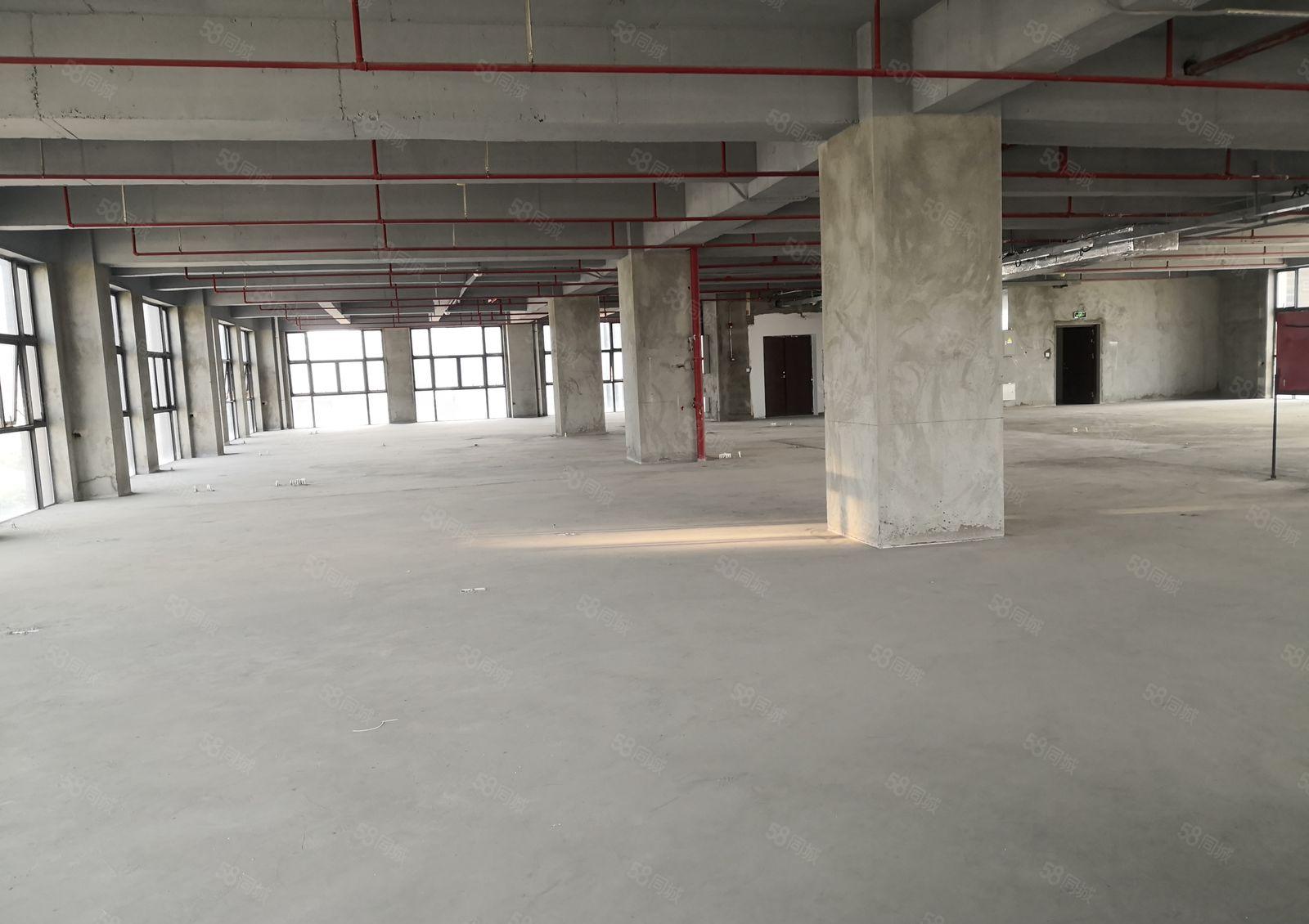 福田中心区高端办公研发基地1000平厂房出租报价300元可分