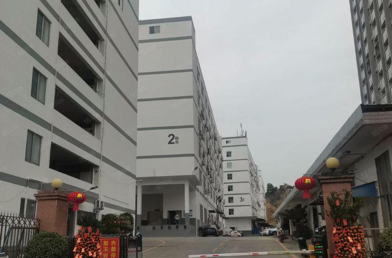 南山西丽伟豪科技园业主直租厂房1楼375平，户型方正，采光好