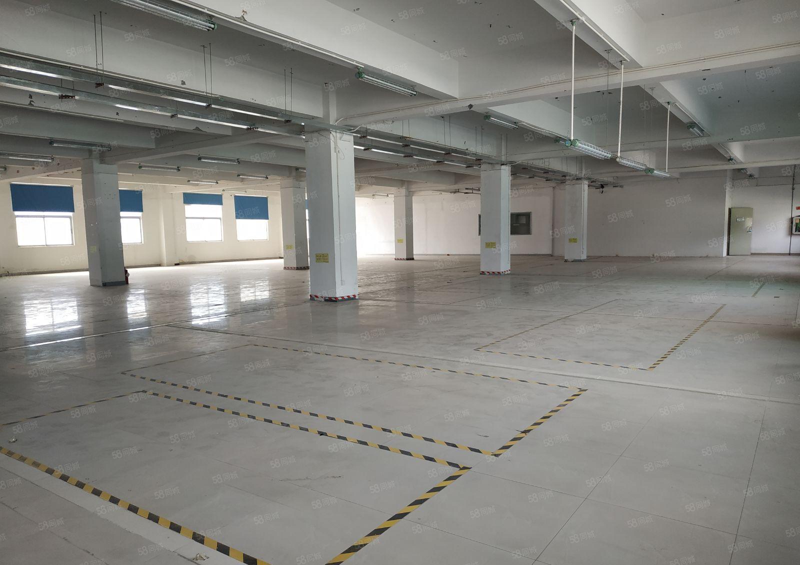 一楼1700平整层厂房仓库 西丽阳光工业区南北通650平起租