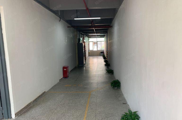 （原房东急租）100平起盐田沙头角4850平低价独院厂房