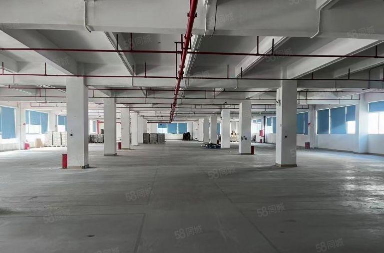 石岩汽车站村委独院厂房8290平无公摊实际面积可分租带平台