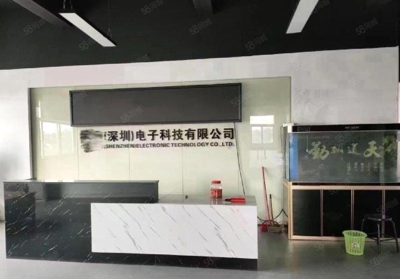 宝安石岩北环同富裕原房东独院6200带装修新厂房出租仓库出租