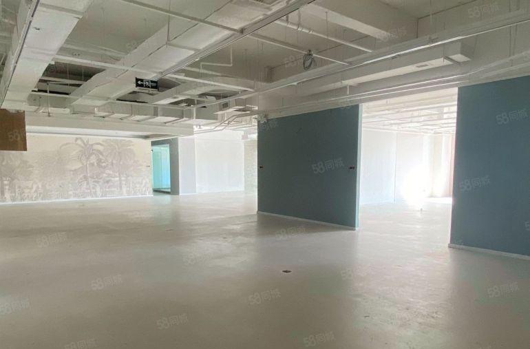 特价几十块南山南油服装城直播间办公室特价