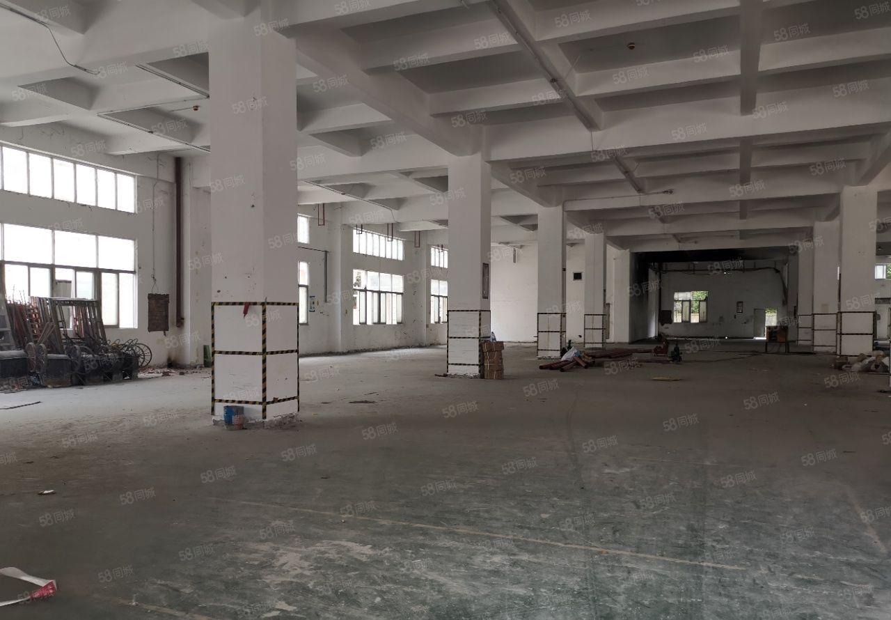 福海国际会展中心6816平方米全新村委厂房业主直租带超大空地