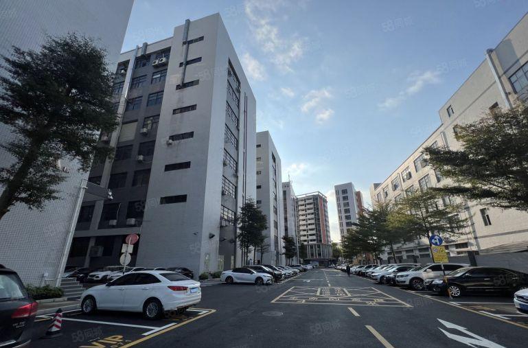 南山工信局补贴园区 面积100~300~1000~2000平