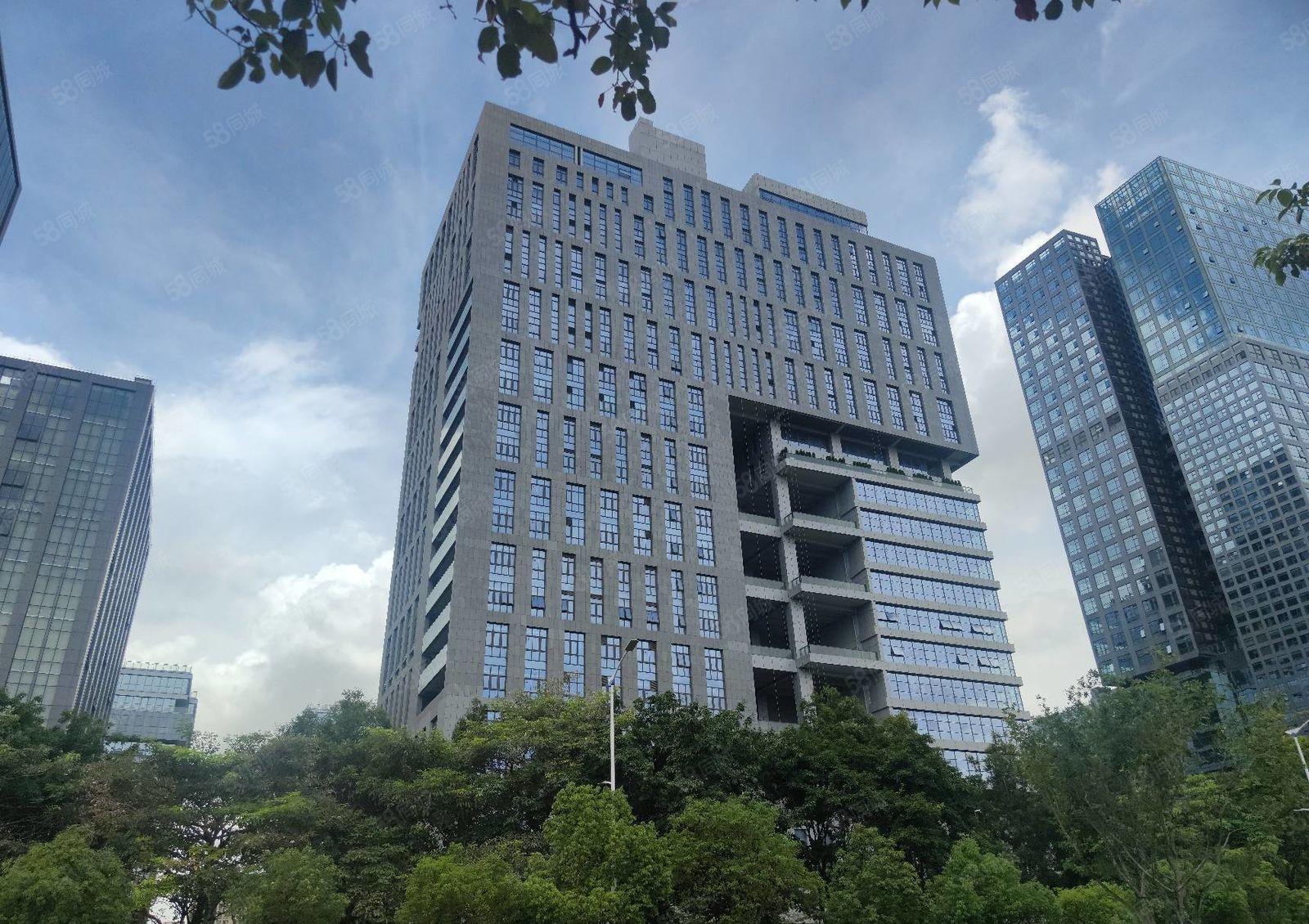 光明区政府支持项目甲级高新研发厂房写字楼免租6个月大小可分租