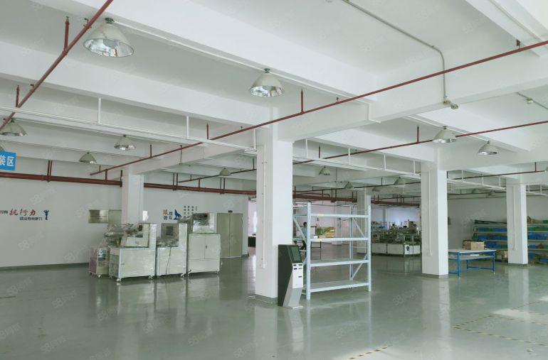 观澜福民龙观快线新出单层面积2800平米租24元