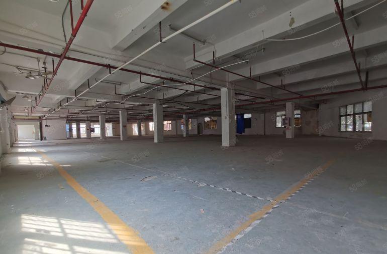 惠州厂房出租办公仓库独门独院工业园仓库出租一楼高速路口分租