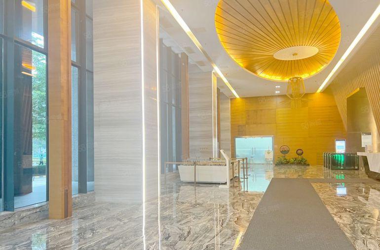 长达一年免租 南山科技园研发办公生产厂房 开发商直租