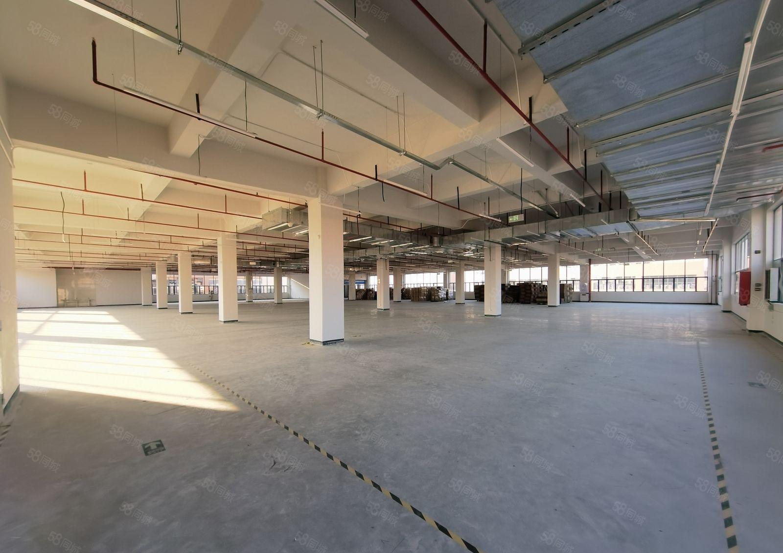 临深塘厦原房东独栋厂房1一4层共10000平方可以分租