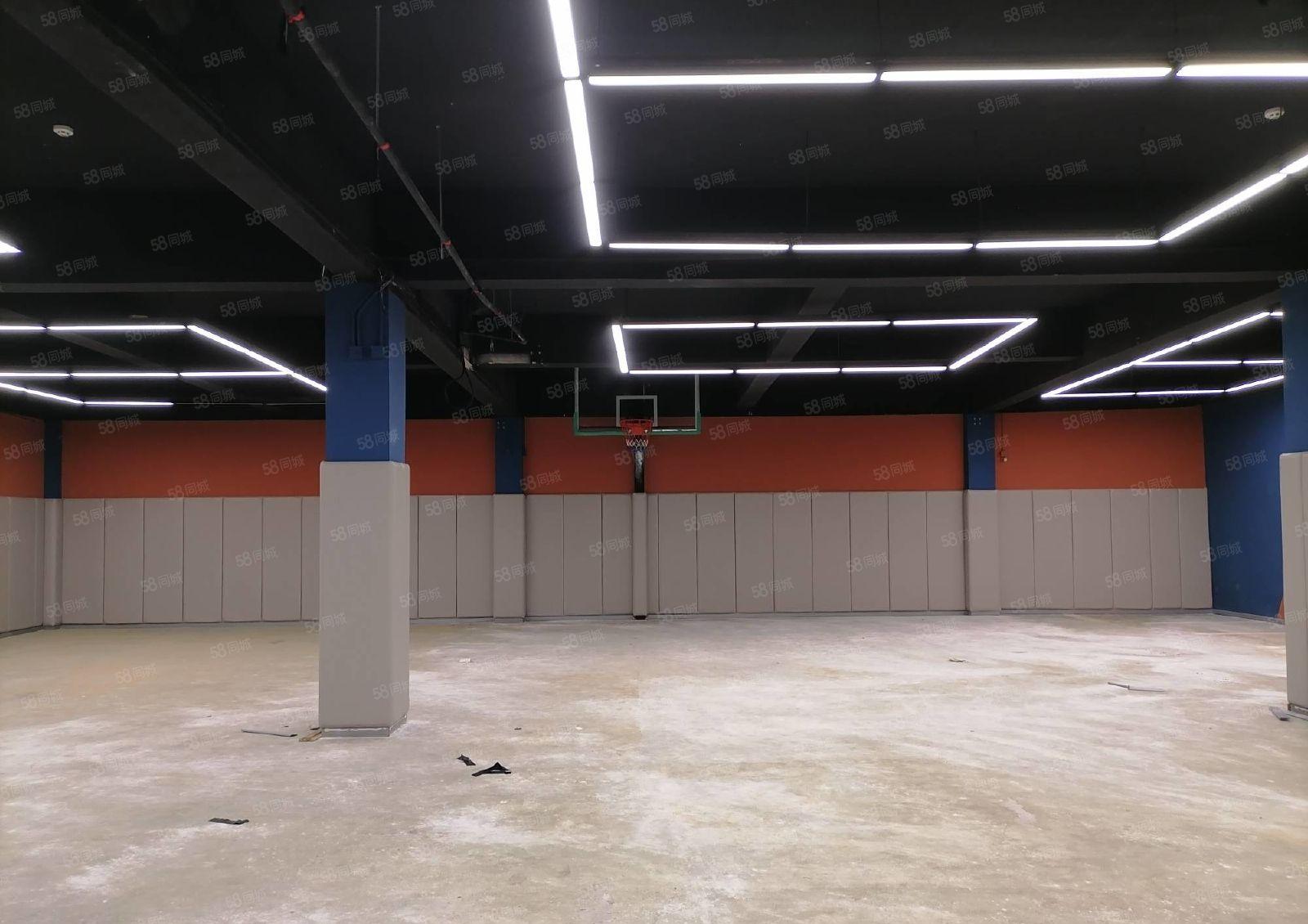 南山中心区800平带装修篮球场馆招租