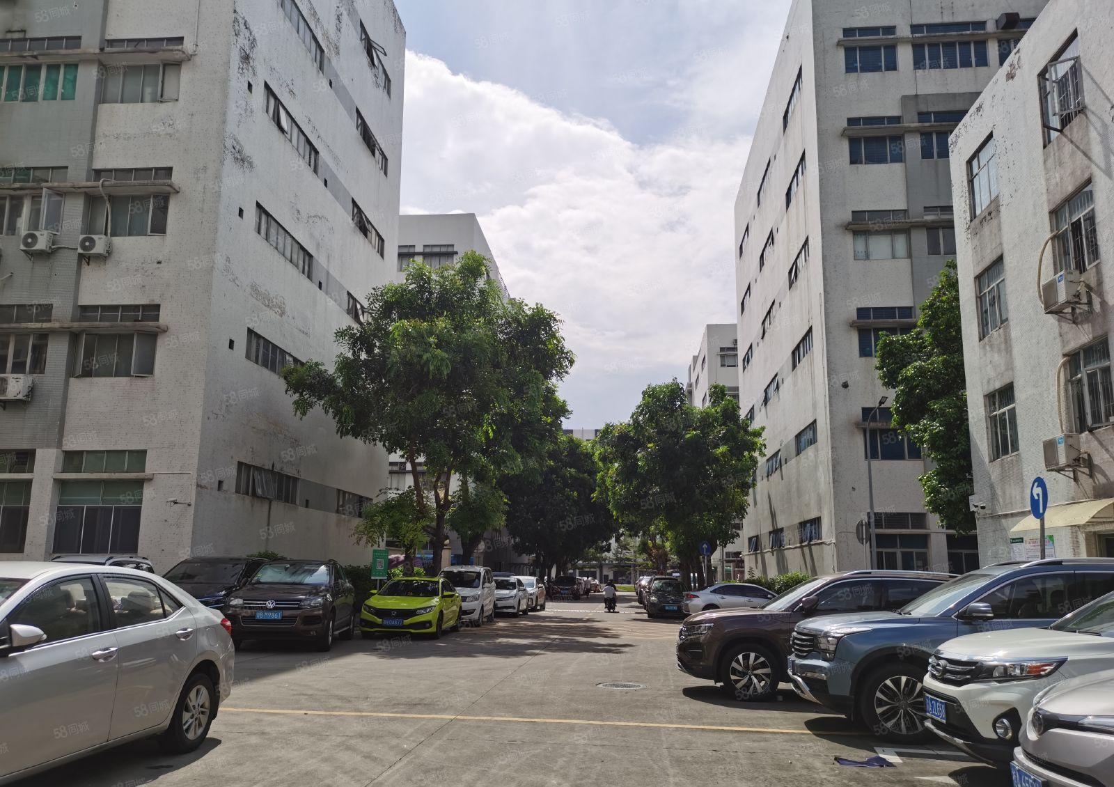 石岩西丽园区新出楼上1100平精装修厂房可做仓库电商电子加工