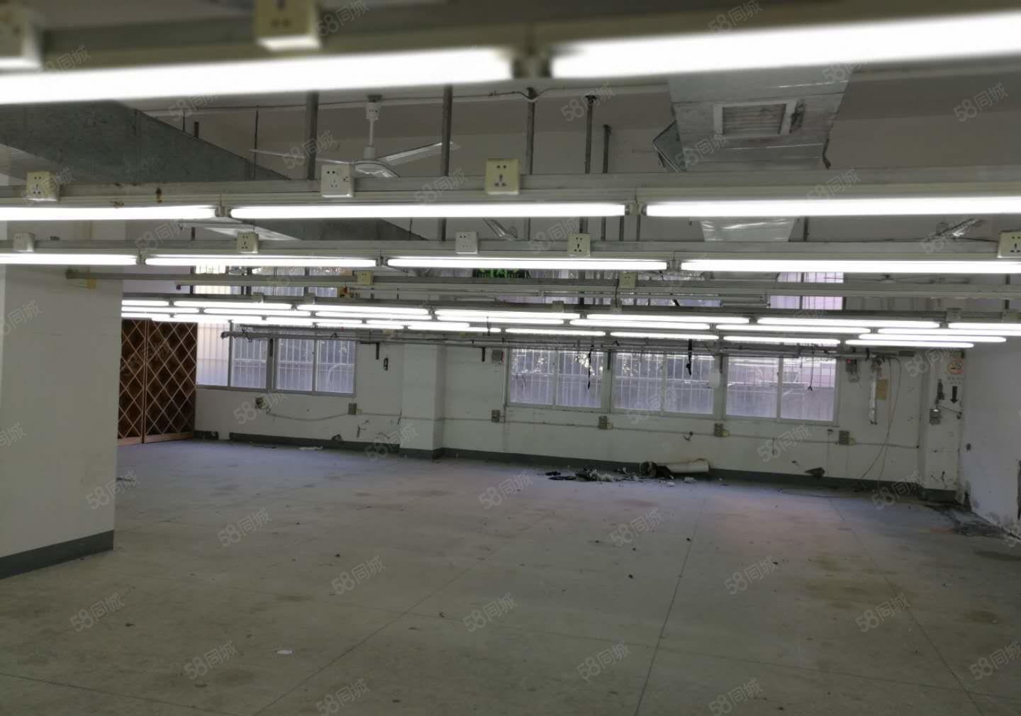 地铁站口深圳河畔标准精工厂房招租，价格低廉