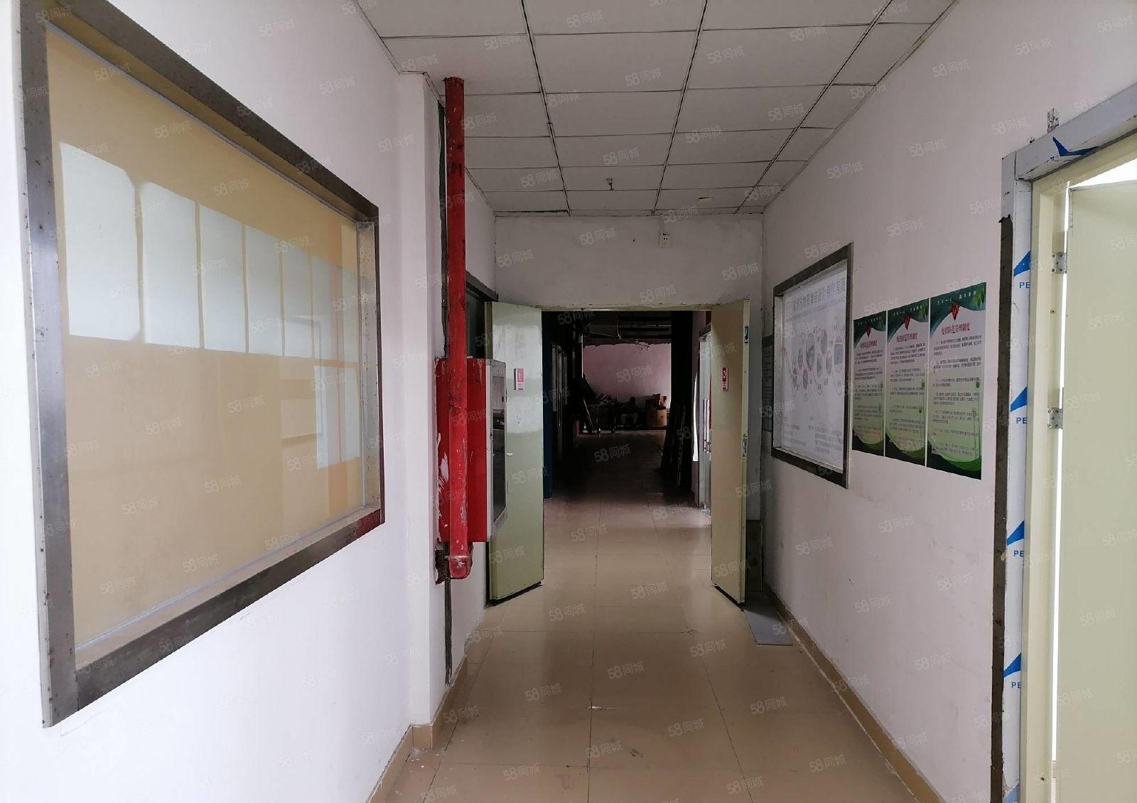 南山中心区800平带装修篮球场馆招租